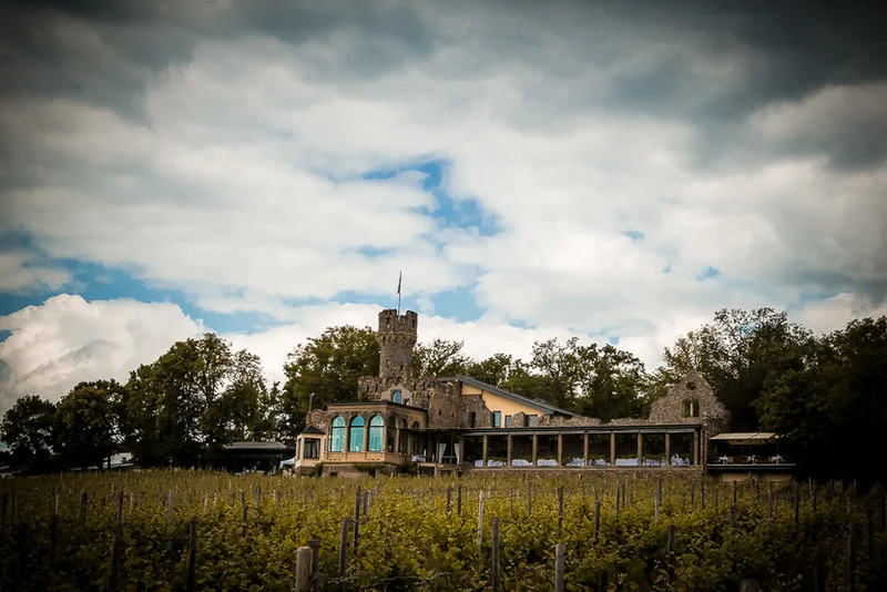 Burg Schwarzenstein Hochzeit – Trauung über den Weinbergen
